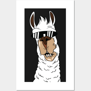 llama funny face Posters and Art